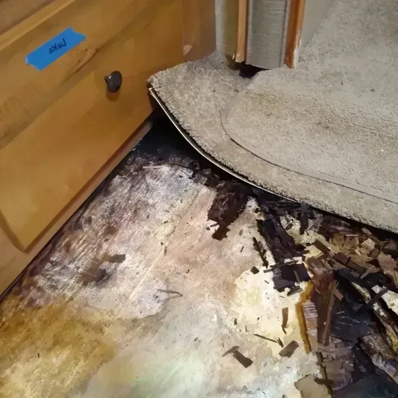 Best Wood Floor Water Damage Service in Portsmouth, OH